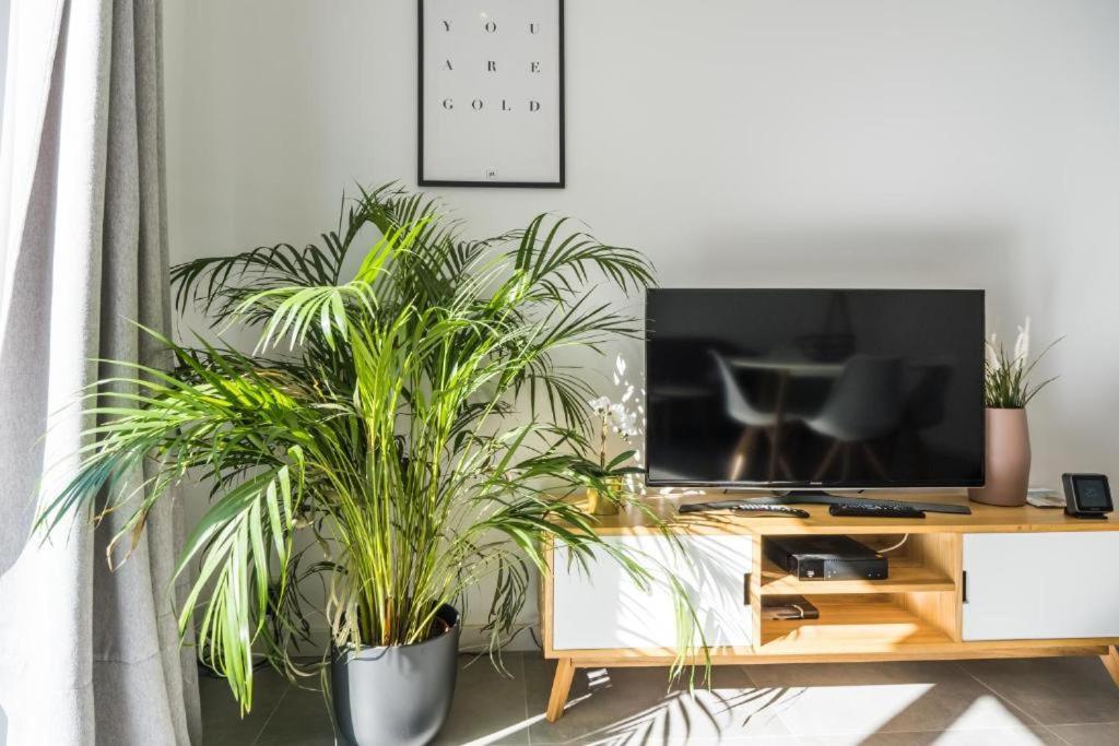 Luxury Apartment With Free Parking オステンド エクステリア 写真